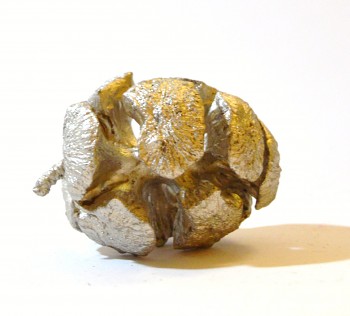 Suché plody ŚIŠKA CYPŘIŠOVÁ STŘÍBRNÁ, sušené plody na aranžování