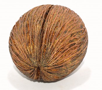 Suché plody Mintola ball bronzový, sušené plody na aranžování  