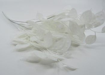 umělá květina měsíčnice bílá