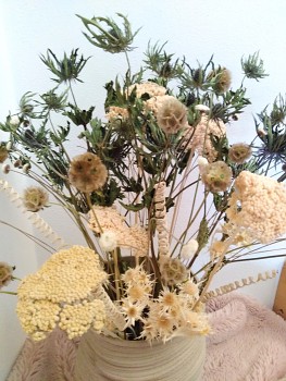 Sušené květiny do vázy BÍLÁ ACHIELA