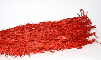 oves červený