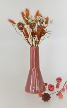 sušené květiny Plumosum červené