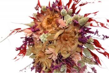 Kytice sušených květin Sulpherea