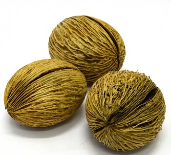 Suché plody Mintola ball washed, sušené plody na aranžování