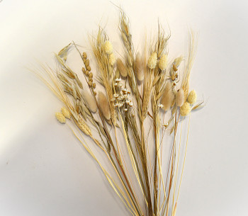 Sušené květiny do vázy NATUR