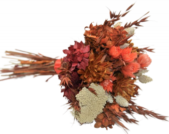 Kytice sušených květin Capblumen