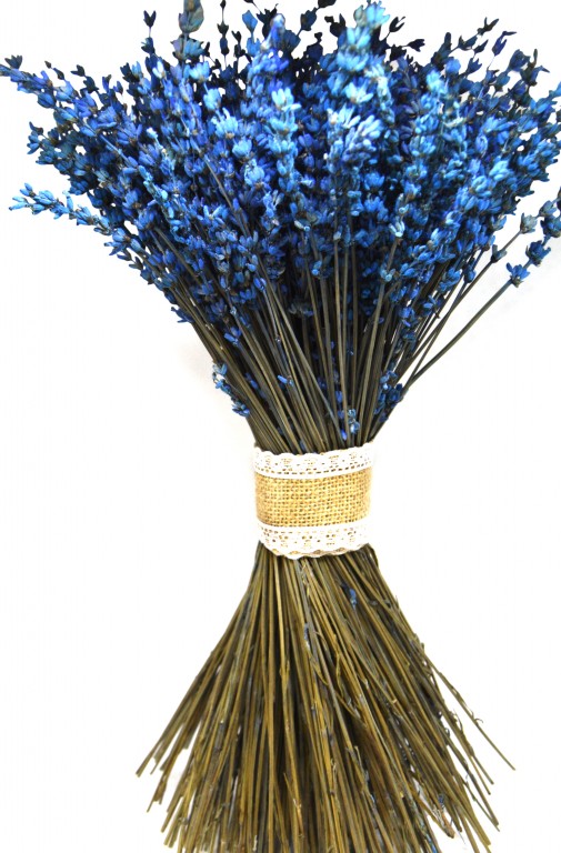 SUŠENÉ KVĚTINY, PLODY |ATELIER ROMANTICA