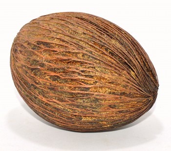 Suché plody Mintola ball bronzový, sušené plody na aranžování  