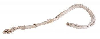 Sušené květiny BANANA STICK