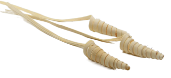 Sušené květiny CANE CONE BÍLÁ 