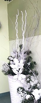 VĚTEV KUWA BĚLENÁ