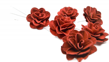 Květ z dřevěné dýhy červený