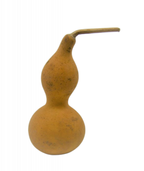 CALABASH, plody na aranžování  