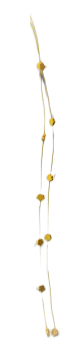 Pegig Žlutá girlanda s květy