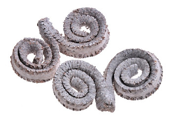 Palm Ring bělené