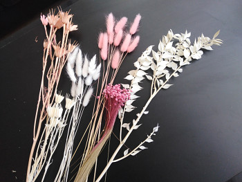 Sušené květiny Růžovobílé