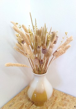 Sušené květiny do vázy BÍLÁ SETARIE
