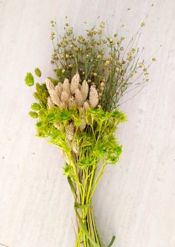 Sušené květiny do vázy ZELENÉ BODLÁČKY